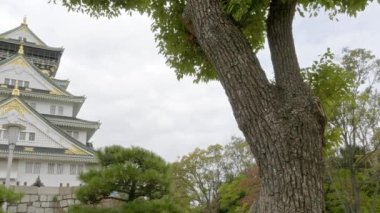 güzel geleneksel Japon pagoda doğal görüntüleri