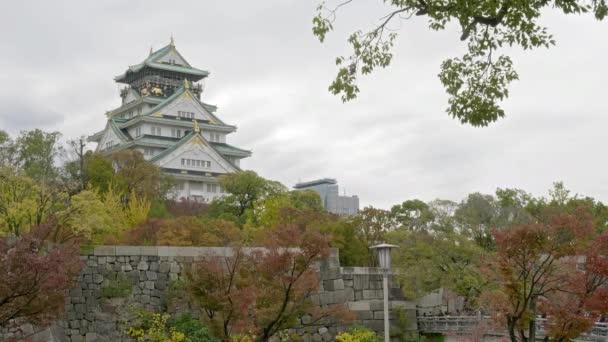 Imágenes Escénicas Hermosa Pagoda Japonesa Tradicional — Vídeos de Stock