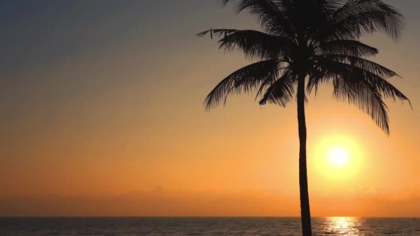 Imágenes Tranquilas Hermoso Mar Ondulado Puesta Del Sol — Vídeos de Stock