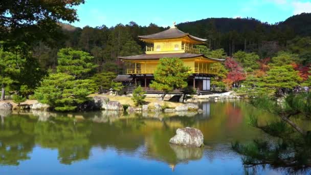 Natursköna Bilder Vackra Traditionella Japanska Pagoden — Stockvideo