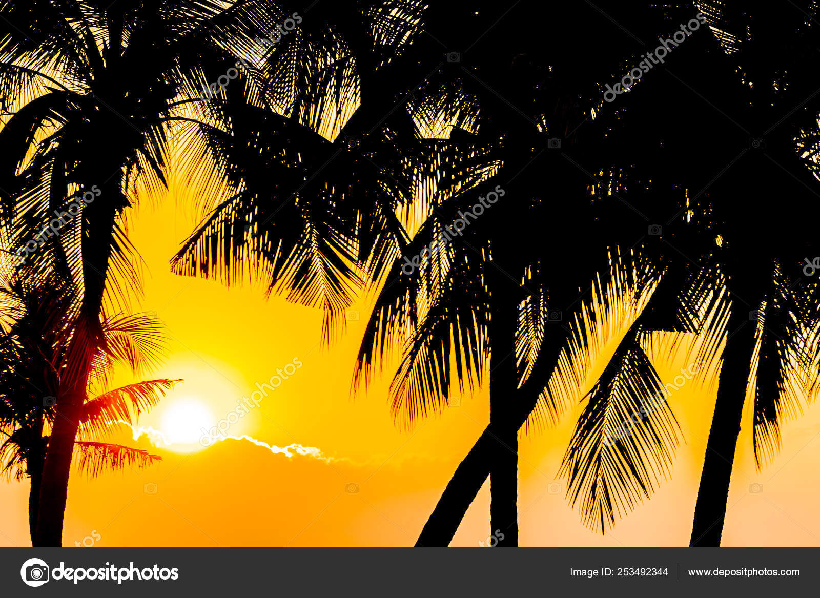 Coucher De Soleil Palmier Images Libres De Droit Photos De Coucher De Soleil Palmier Depositphotos Coucher De Soleil Palmier Images Libres De Droit Photos De Coucher De Soleil Palmier Depositphotos