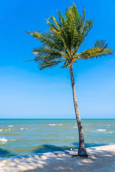 Hermosa palmera de coco con playa mar y océano en blu —  Fotos de Stock