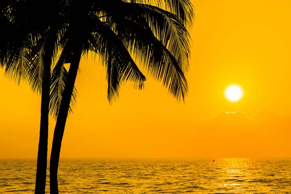 Beautiful Silhouette coconut palm tree on sky neary sea ocean be — Stock Photo, Image