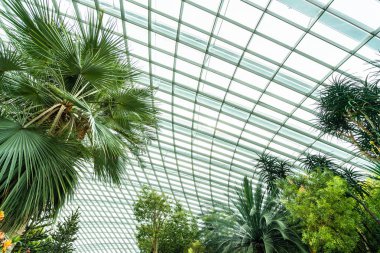 Çiçek kubbe Bahçesi ve greenhous bina güzel mimari