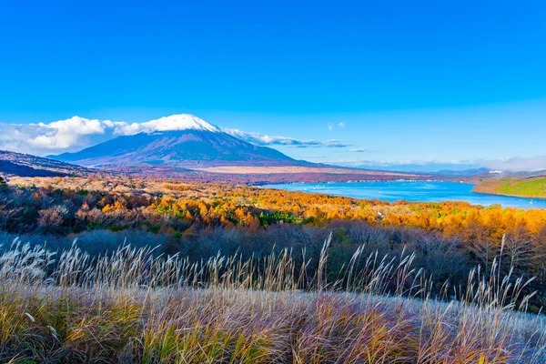 Vackra fuji berg i yamanakako eller yamanaka sjö — Stockfoto