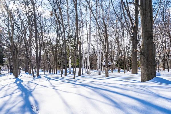 Beautiful landscape with tree in snow winter season — Stock Photo, Image