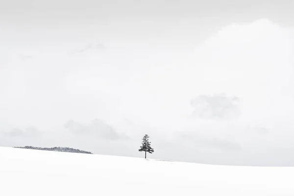 Красивый природный ландшафт с рождественской елкой зимой — стоковое фото