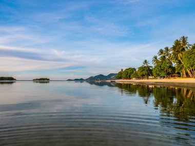 Güzel tropikal plaj ve deniz ile Hindistan cevizi hurma ağacı