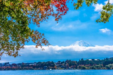 Dağ fuji ile akçaağaç yaprağı ağacın etrafında güzel manzara