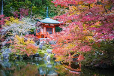 Güzel Daigoji Tapınağı ile renkli ağaç ve yaprak sonbahar s