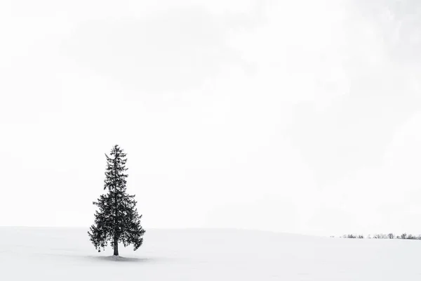 Prachtige buiten natuur landschap met alleen kerst boom in — Stockfoto