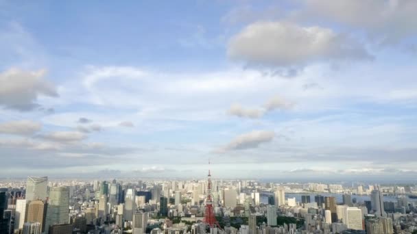 Szenische Aufnahmen Moderner Megalopolis Asiatischer Stadt — Stockvideo