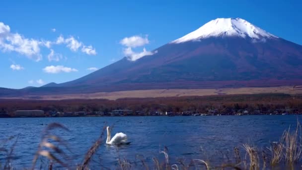 Malownicze Nagranie Pięknej Góry Fuji Japonia — Wideo stockowe