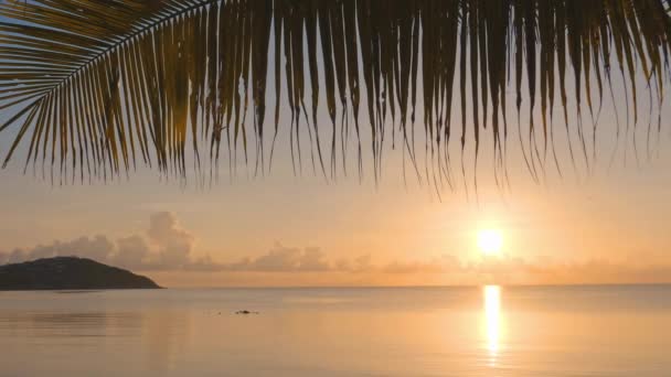 Imagens Tranquilas Belo Mar Ondulado Pôr Sol — Vídeo de Stock