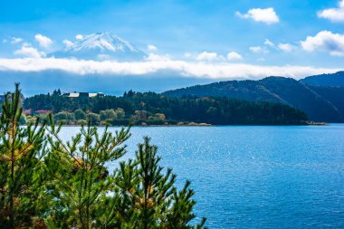 Dağ fuji ile akçaağaç yaprağı ağacın etrafında güzel manzara