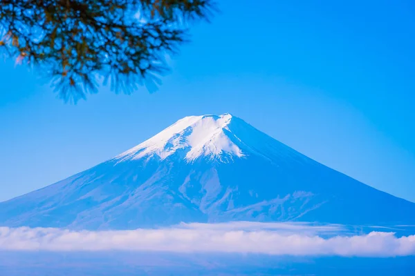 Bela paisagem de fuji de montanha em torno de árvore de folha de bordo em um — Fotografia de Stock