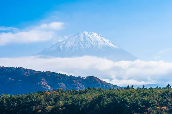 美丽的风景的山富士与枫叶树周围 — 图库照片