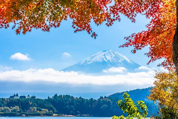 Vackert landskap av berg fuji med lönn blad runt — Stockfoto
