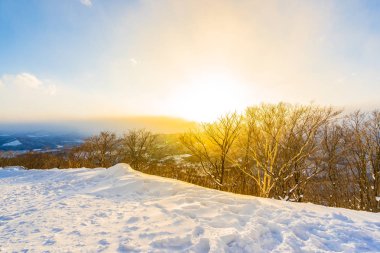 Dağın etrafından kar kış deniz ağacında ile güzel manzara