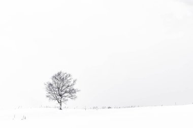 Yalnız ağaç içinde kar kış sezonu ile güzel manzara