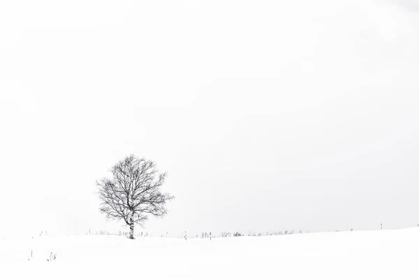 Hermoso paisaje con árbol solitario en la temporada de invierno de nieve — Foto de Stock