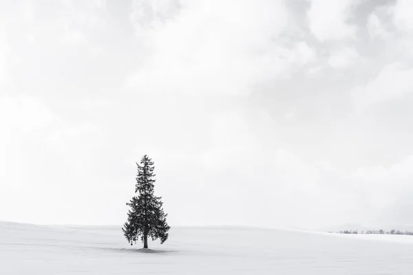 美しい屋外の自然風景だけで偽物のクリスマス ツリー — ストック写真