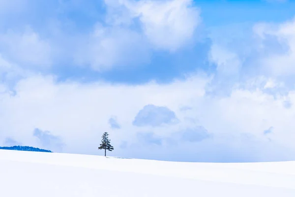 Hermoso paisaje natural al aire libre con árbol de Navidad en invierno — Foto de Stock