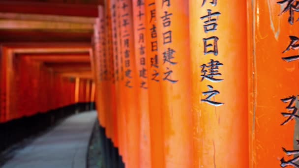 Riprese Panoramiche Della Porta Tori Attorno Tempio Fushimi Inari Kyoto — Video Stock