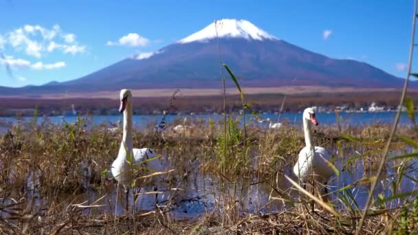 Riprese Panoramiche Della Bellissima Montagna Fuji Giappone — Video Stock