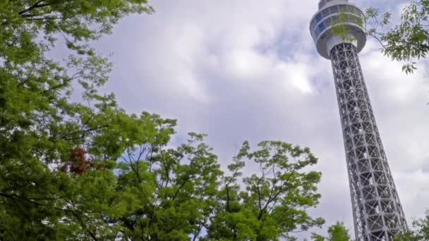 Hermoso Edificio Arquitectura Torre Seúl Montaña Namsan Hito Ciudad Seúl — Vídeo de stock
