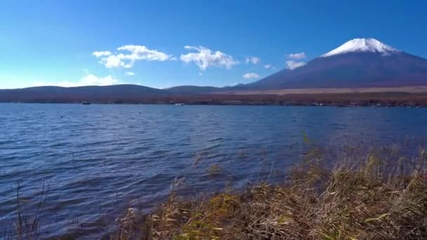 Scenic Footage Beautiful Mountain Fuji Japan — Stock Video