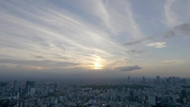 Γραφικό Υλικό Της Σύγχρονης Μεγαλούπολης Ασιατική Πόλη — Αρχείο Βίντεο