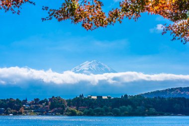 Dağ fuji akçaağaç yaprağı ağaç göl sonbahar sezonu ile güzel manzara
