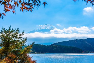 Dağ fuji akçaağaç yaprağı ağaç göl sonbahar sezonu ile güzel manzara
