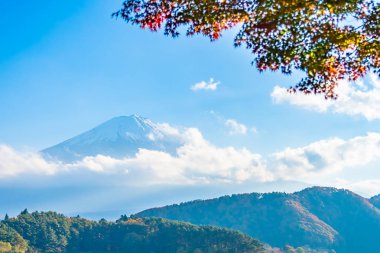 Güzel manzara dağ fuji göl Yamanashi Japonya akçaağaç ağaç yaprak ile