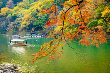 Akçaağaç ağaç yaprak ve sonbahar sezonu Kyoto Japonya göl etrafında tekne ile güzel Arashiyama Nehri