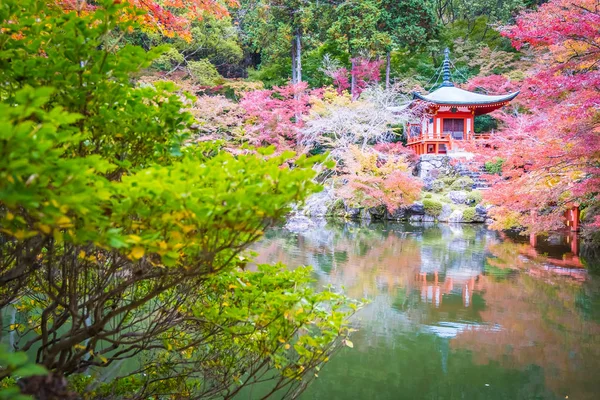 Όμορφη Daigoji Ναό Πολύχρωμο Δέντρο Και Φύλλα Φθινόπωρο Σεζόν Κιότο — Φωτογραφία Αρχείου