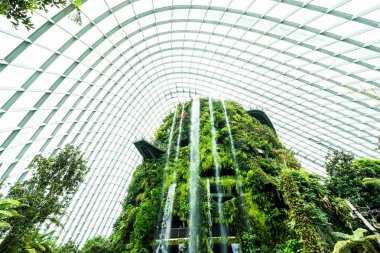 Çiçek kubbe Bahçe ve sera orman landmark Singapur City seyahat için bina güzel mimari