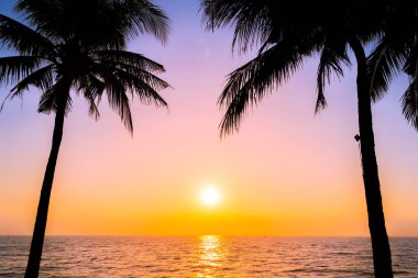 Güzel siluet Hindistan cevizi hurma ağacı gökyüzü neary deniz okyanus plaj tatil için günbatımı veya gündoğumu zaman seyahat ve tatil kavramı