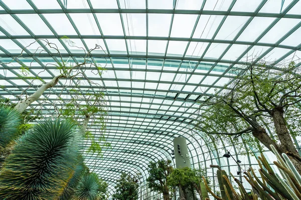 Çiçek kubbe Bahçe ve sera orman landmark Singapur City seyahat için bina güzel mimari