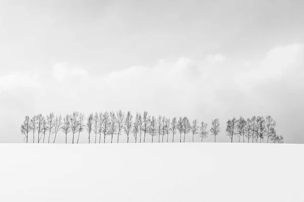 雪冬シーズン北海道 黒と白の色を処理で木の枝のグループと美しい屋外の自然風景 — ストック写真
