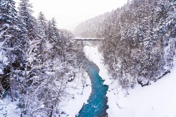 美丽的户外自然景观与雪拉热瀑布和桥梁在雪冬季节北海道日本 — 图库照片
