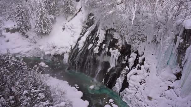 Szenische Aufnahmen Einer Wunderschönen Winterlandschaft — Stockvideo