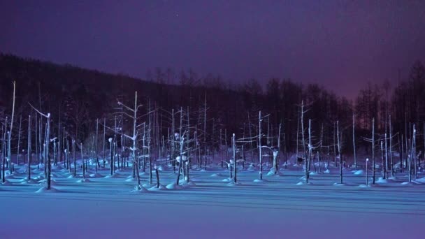Vyhlídkové Záběry Krásné Zimní Krajiny — Stock video