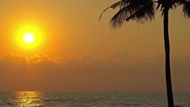 Images Tranquilles Belle Mer Ondulée Coucher Soleil — Video