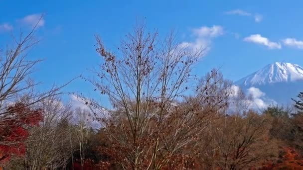 Imágenes Escénicas Hermosa Montaña Fuji Japón — Vídeos de Stock