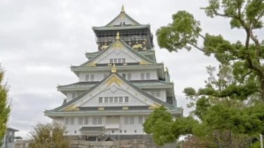 güzel geleneksel Japon pagoda doğal görüntüleri