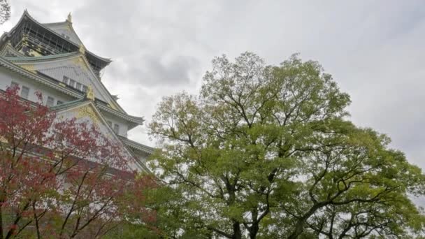 Natursköna Bilder Vackra Traditionella Japanska Pagoden — Stockvideo