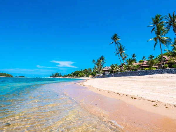 Wunderschöner Tropischer Strand Und Meer Mit Kokospalmen Für Reise Und — Stockfoto