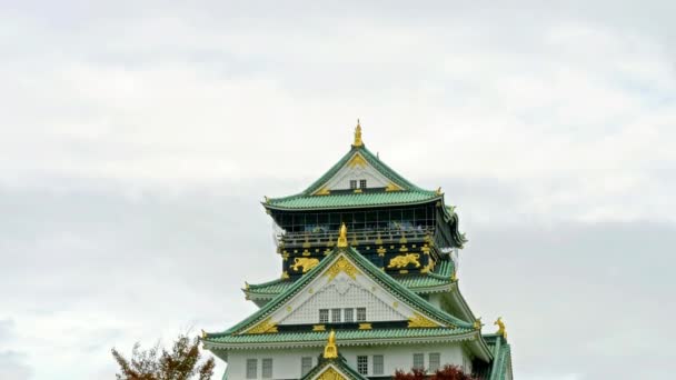 Scenic Footage Beautiful Traditional Japanese Pagoda — Stock Video